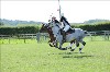 UKPA NC SAT_2239